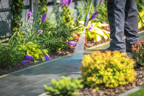Best Patio and Deck Pressure Washing  in Hrison, AR
