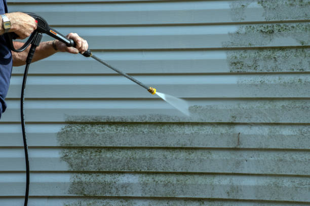Best Warehouse Cleaning  in Hrison, AR