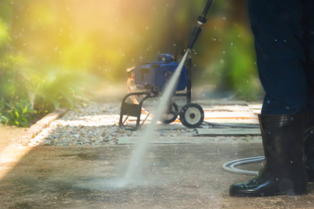 Best Roof Washing  in Hrison, AR